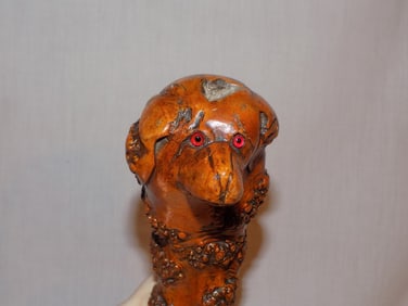 unusual antique cane with dog head.