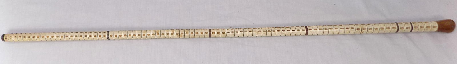 Unusual antique cane with animal or fish vertebrae (1 of 4)