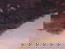 item-211008301=4