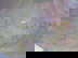 item-211008301=7
