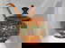 item-211008315=6