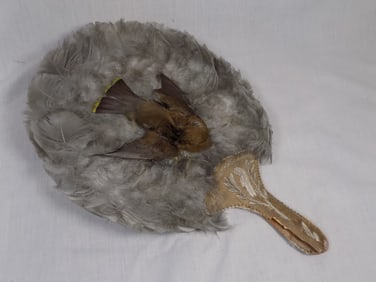 Rare antique Native American Indian ceremonial feather fan with bird