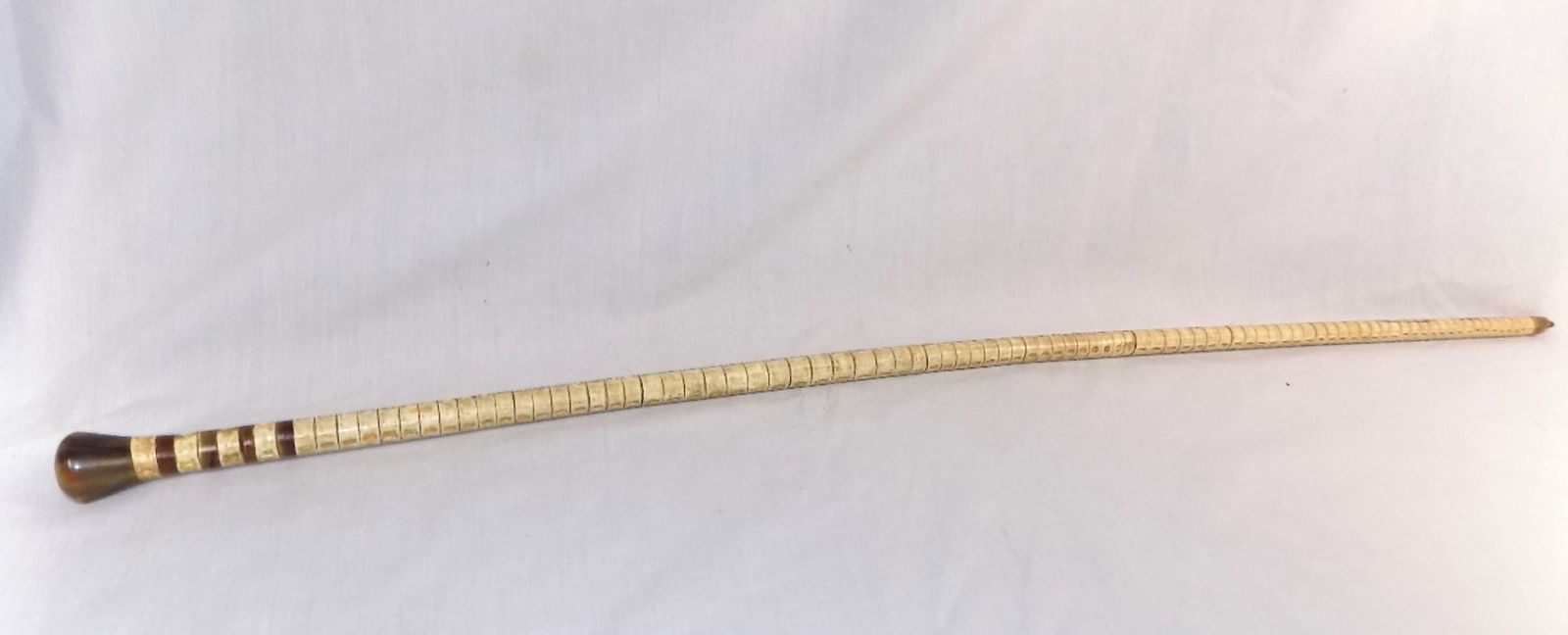 Antique cane with animal bone spine: Antique cane with animal bone spine. 34 ¼. In very good original as found condition. Great quality and detail. For in house shipping, please call Mike at Thriftiques 319-321-0613
