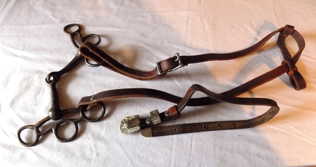 Antique silver mounted halter and bit.: Antique silver mounted halter and bit. Marked on buckle as shown in photo. Please see photos with ruler for size. In very good original as found condition. Great quality and detail. For in house shipp