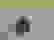 item-55088238=7