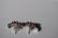 Pair of Vintage Silver Earrings, Marked 925 - 3