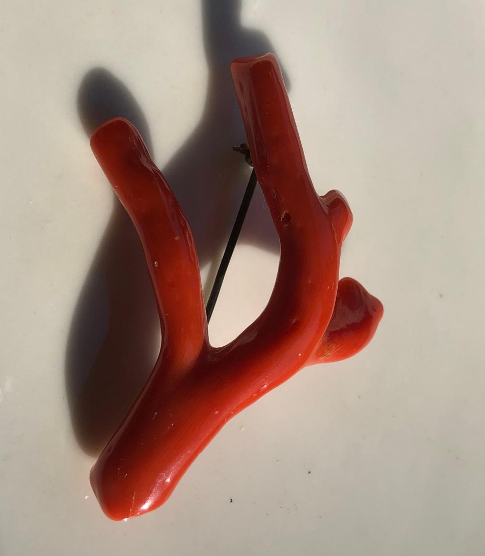 Antique Natural Red Coral Brooch Pin (1 of 6)