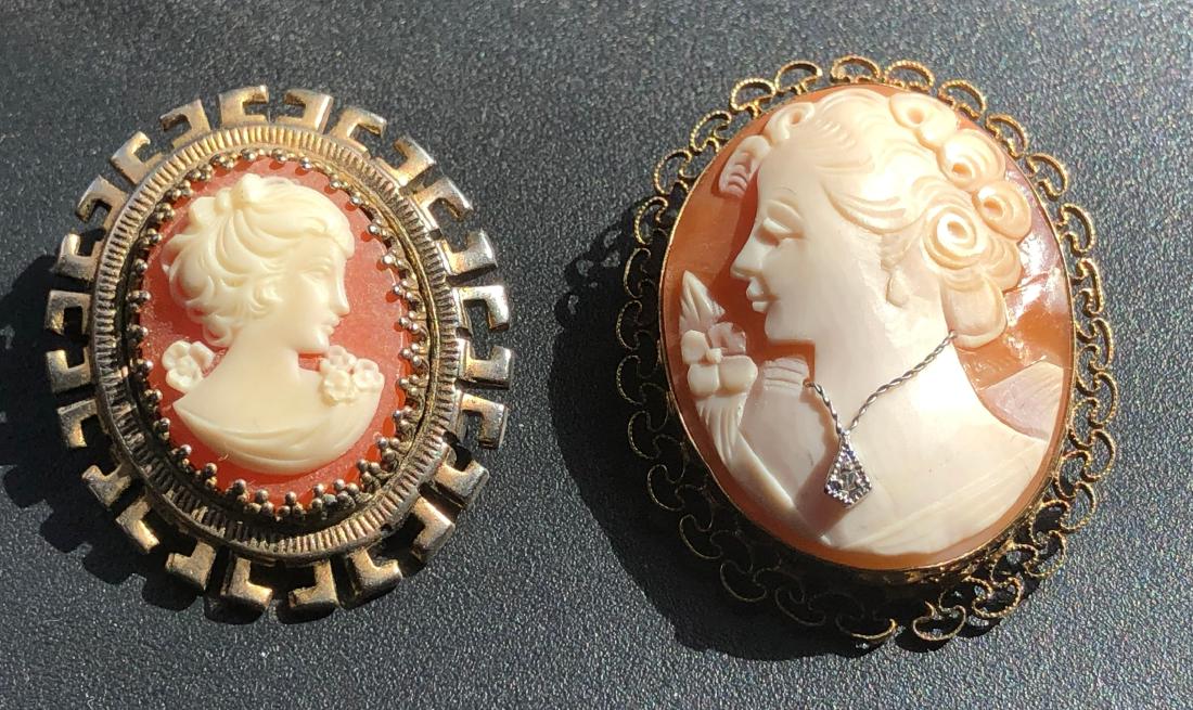 Pair of Cameo Pendants and Brooch Pins (1 of 6)