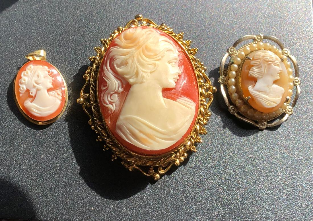 Three Cameo Pendants and Brooch Pins (1 of 4)