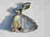 item-72760631=3