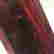 item-72760668=2