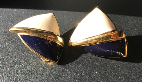 Pair of Earrings
