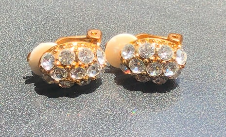 Pair of Earrings