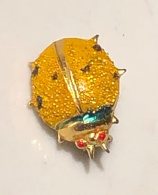 Vintage Brooch Pin