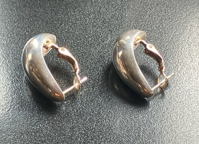 Pair of Silver Earrings