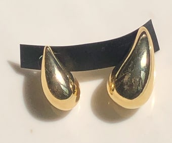 Pair of Earrings