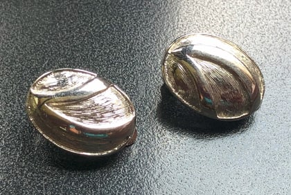 Pair of Earrings