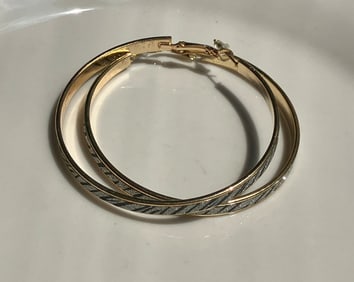 Pair of Earrings