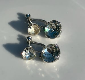 Pair of Earrings