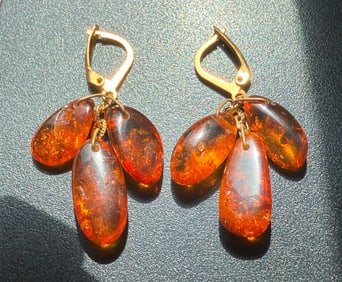 Pair of Amber Earrings