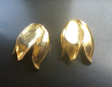 Pair of Earrings