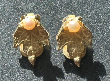 Pair of Earrings