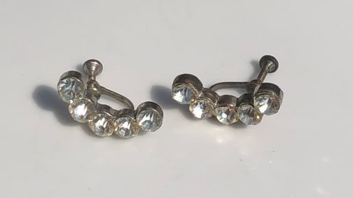 Pair of Earrings