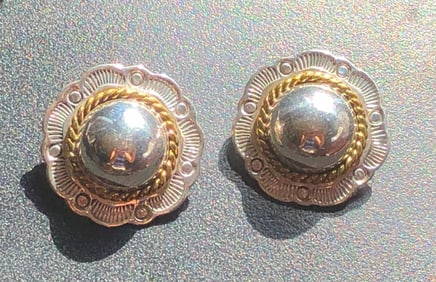 Pair of Silver Earrings