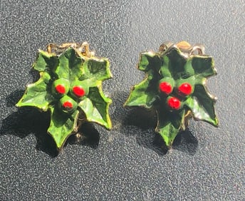 Pair of Earrings