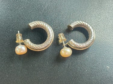 Pair of Silver Earrings