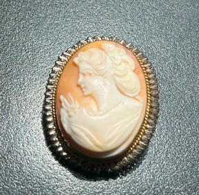 Vintage Cameo Brooch Pin