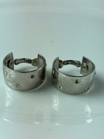 Pair of Earrings
