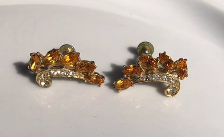 Pair of Earrings