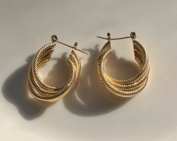 Pair of Earrings