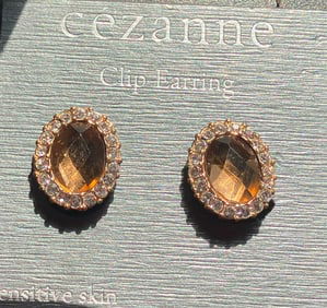 Pair of Earrings