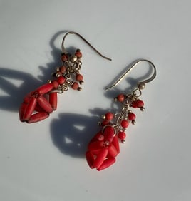 Pair of Earrings