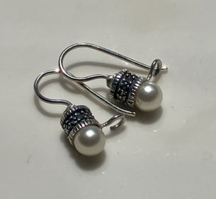 Pair of Silver Earrings