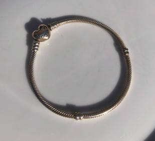 Pandora Bracelet