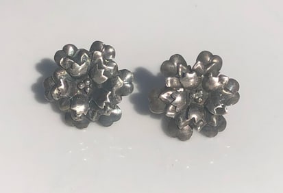 Pair of Silver Earrings