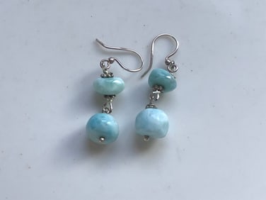 Pair of Earrings