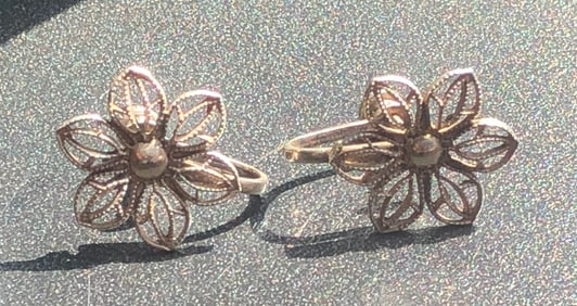 Pair of Silver Earrings