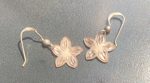 Pair of Silver Earrings