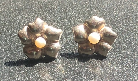 Pair of Silver Earrings