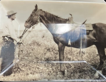 Vintage Westernware Horse Dish