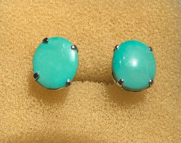 Pair of Turquoise Earrings
