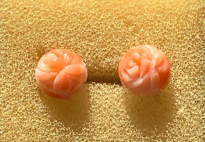 Pair of Coral Earrings