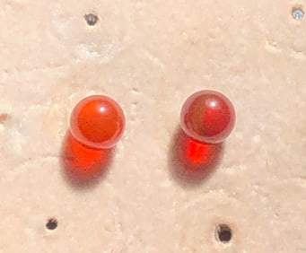 Pair of Silver Earrings