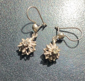 Pair of Silver Earrings