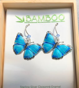 Pair of Silver Earrings