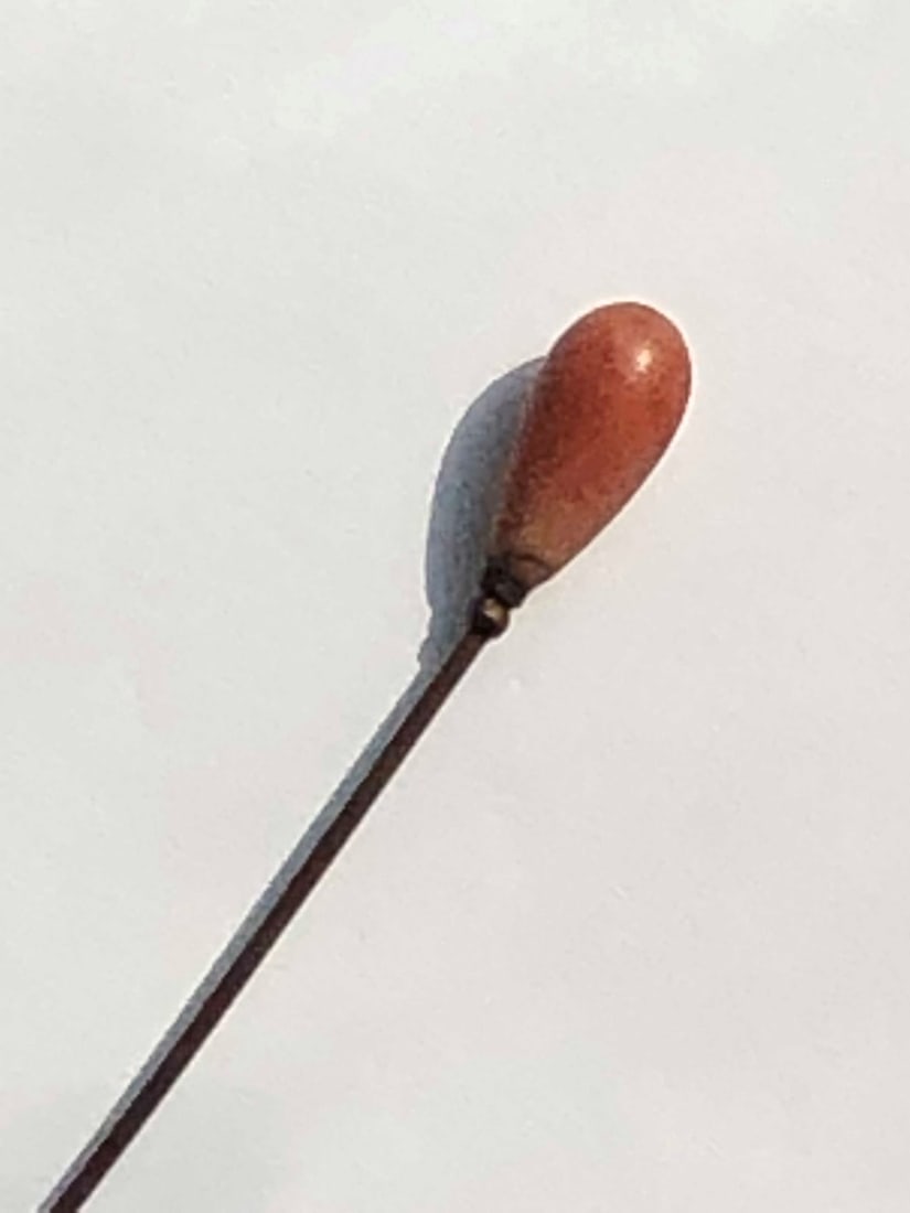 Antique Coral Hair Pin